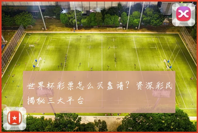 世界杯彩票怎么买靠谱？资深彩民揭秘三大平台
