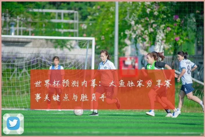 世界杯预测内幕:大鱼独家分享赛事关键点与胜负手