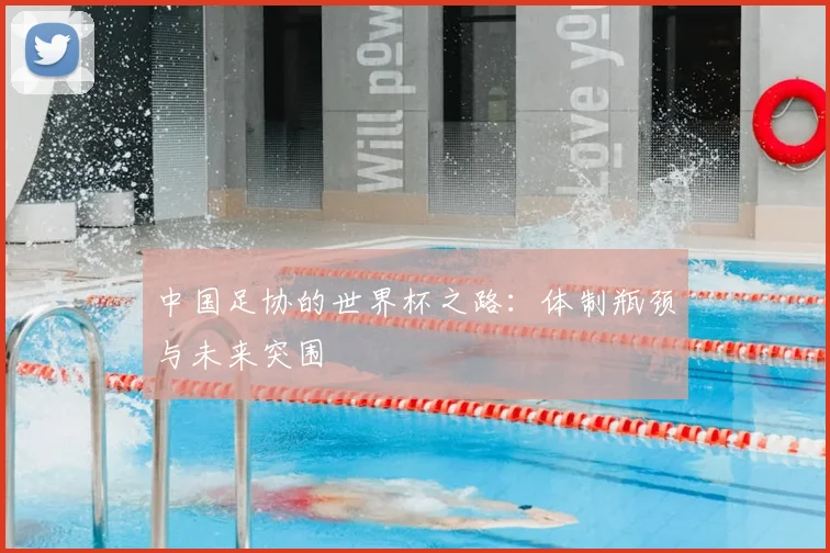 中国足协的世界杯之路：体制瓶颈与未来突围