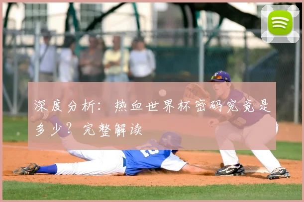 深度分析：热血世界杯密码究竟是多少？完整解读