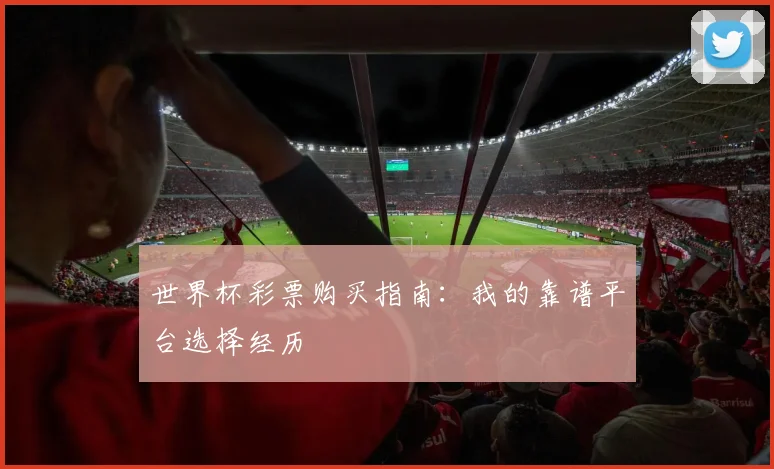 世界杯彩票购买指南：我的靠谱平台选择经历