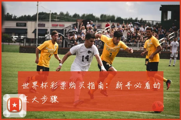 世界杯彩票购买指南：新手必看的五大步骤