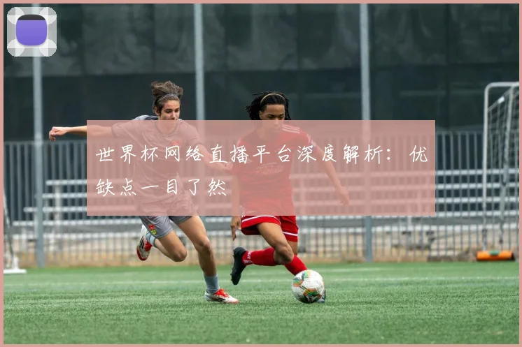 世界杯网络直播平台深度解析：优缺点一目了然