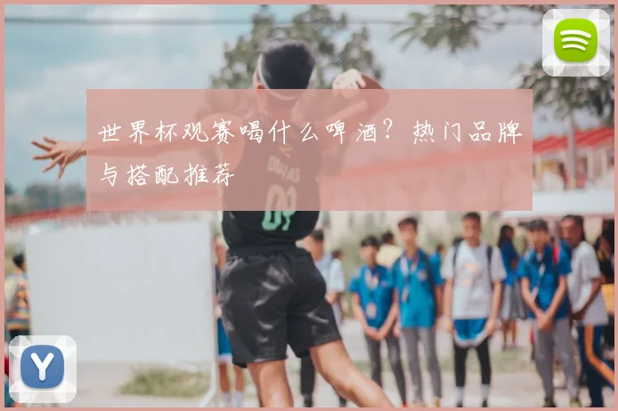 世界杯观赛喝什么啤酒？热门品牌与搭配推荐