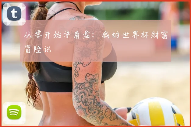 从零开始学看盘：我的世界杯财富冒险记
