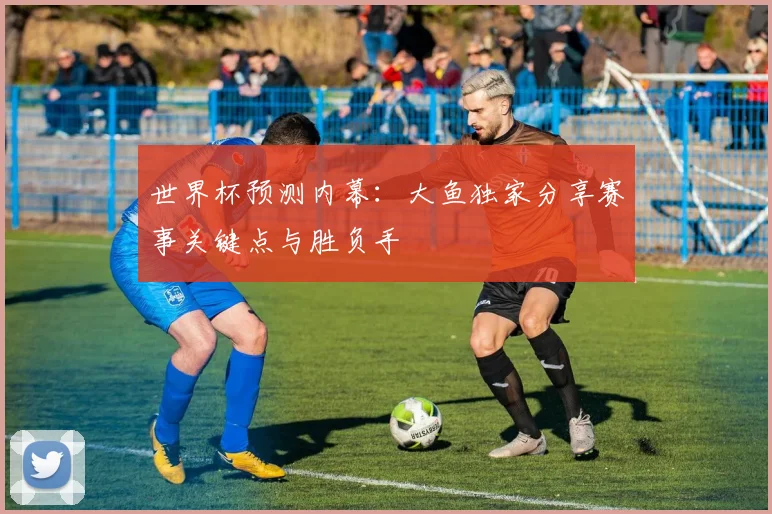 世界杯预测内幕：大鱼独家分享赛事关键点与胜负手