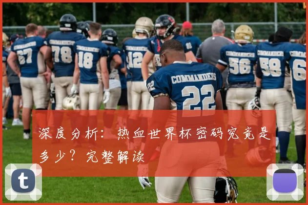 深度分析：热血世界杯密码究竟是多少？完整解读