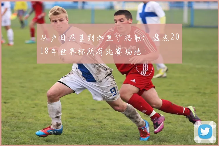 从卢日尼基到加里宁格勒：盘点2018年世界杯所有比赛场地
