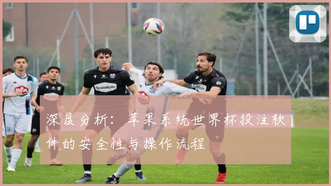 深度分析：苹果系统世界杯投注软件的安全性与操作流程